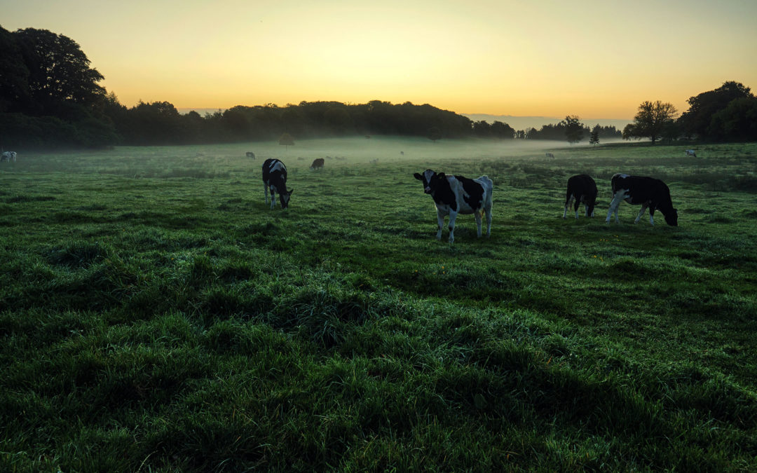 Agriculture