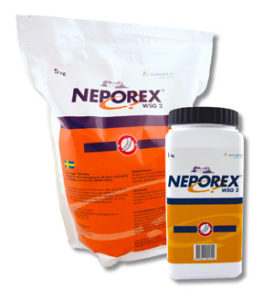 Neporex® - Pharmaxim